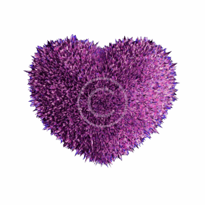 CryptoPulse